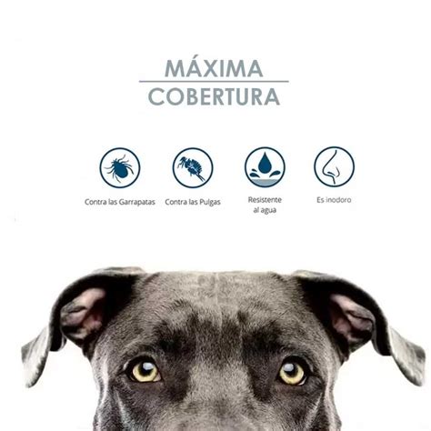 Comprar Parasital Collar Antiparasitario Para Perros Grandes M S De Kg