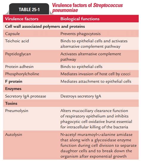 Streptococcus Pathogenesis