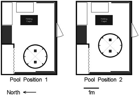 layout   testing room showing  room geometry  location