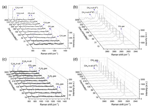 Real Time Raman Spectra Monitoring The Two Different Formation Patterns