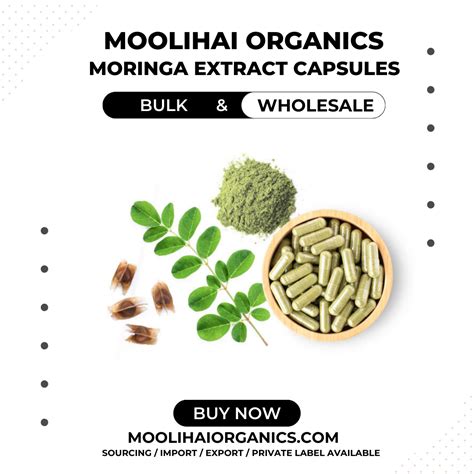 Moringa Extract Capsules Moringa Oleifera Bulk Wholesale Buy