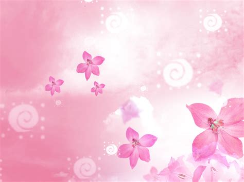 Flower Background Images For Ppt : Shabby Chic Tosca Powerpoint Background Floral Stock ...