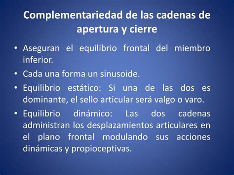 Ppt Cadenas Musculares De Los Miembros Inferiores Powerpoint