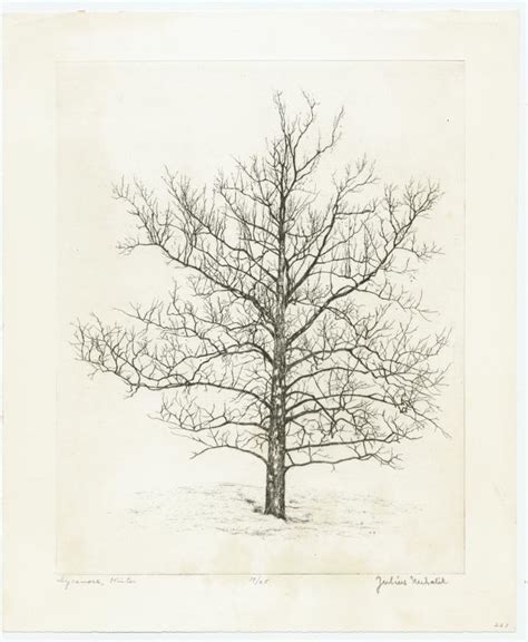 Sycamore, Winter | All artworks | GSA Fine Arts Collection