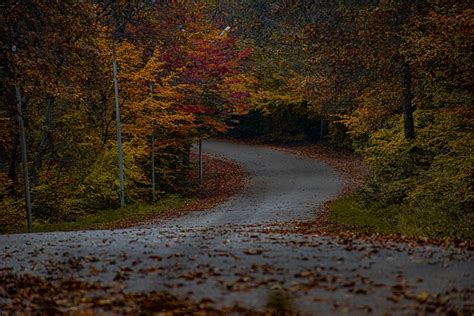 Estrada Caminho Trilha Foto Gratuita No Pixabay Pixabay