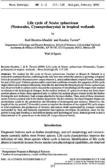 (PDF) Life cycle of Nostoc sphaericum (Nostocales, Cyanoprokaryota) in ...