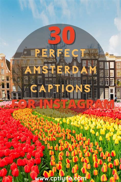 30 Amazing Amsterdam Quotes You Must Check Out Artofit