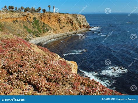 View Of Point Vicente Lighthouse From The Bluff Trail On The Palos