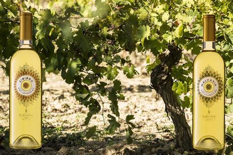 Dalle Cantine Pellegrino I Primi Vini Liquorosi Biologici Italiani