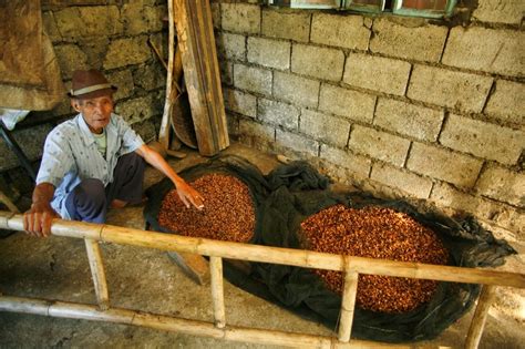 Kapeng Barako Coffee From the Philippines Is Unlike Anything You've Tried