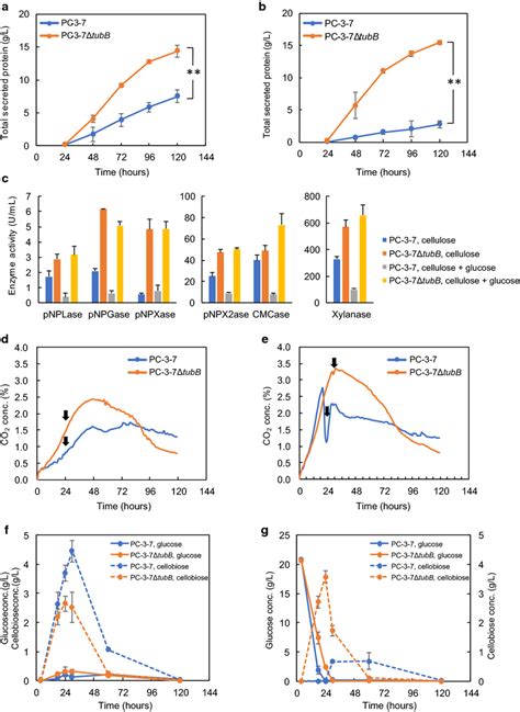 Effects Of Glucose On Protein Production Respiration And Sugar Uptake