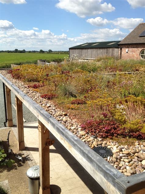 Best 13 Sedum roof VS Wildflower roof – Artofit