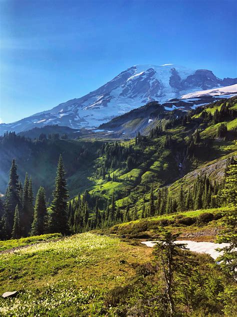 Incredible views and weather this weekend at Rainier. Skyline Trail ...