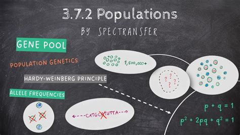 EASY REVISION AQA A Level Biology 3 7 2 Populations YouTube