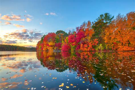 New England Fall Foliage Peak Colors At The Sudbury Reservoir In