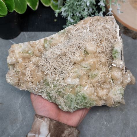 XL Green Apophyllite With Scolecite On Stilbite The Crystal Council