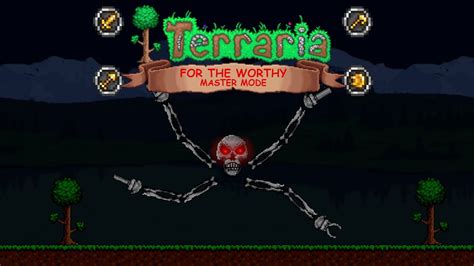 Terraria 142 Master Mode For The Worthy Skeletron Prime All Class