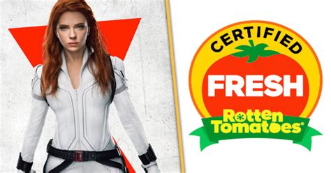 Vi Va Negra Recebe Certificado Fresh No Rotten Tomatoes