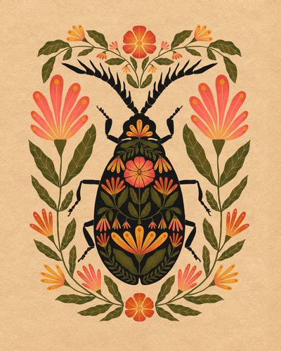 Beetle Illustration | Net-Wing Beetle Art Print | High West Wild