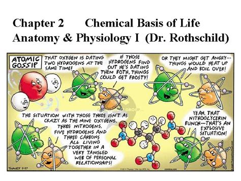 Chapter Chemical Basis Of Life Anatomy Physiology