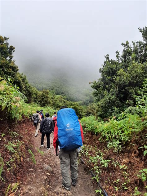 Liputan Trip Pendakian Gunung Papandayan Backpacker Jakarta