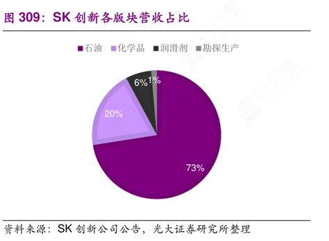 想请教下各位sk创新各版块营收占比的概念是怎样的行行查行业研究数据库