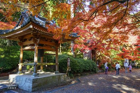 九州楓葉景點推薦｜大興善寺。九州紅葉11月中下旬盛開~交通接駁車 欣晴。美食旅遊生活分享