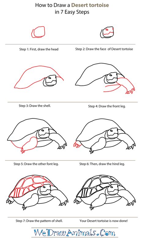 How To Draw Easy Animals Step By Step Image Guide