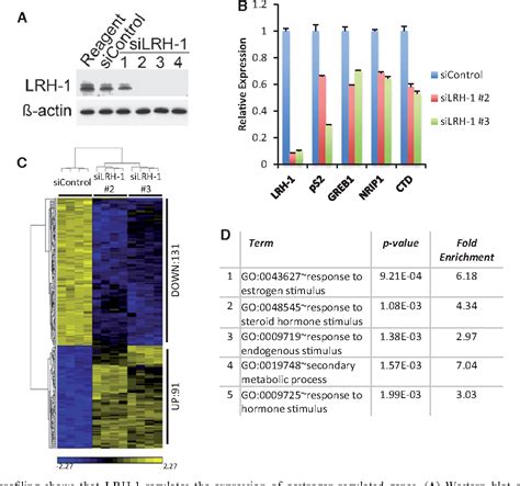 Figure 1 from Co regulated gene expression by oestrogen receptor α and