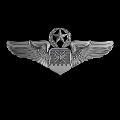 USAF Master Combat Systems Officer Wings Badge 3D model | CGTrader