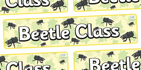 Free Beetle Themed Classroom Display Banner Twinkl