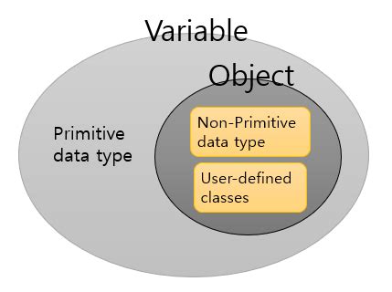 variable  object  reference
