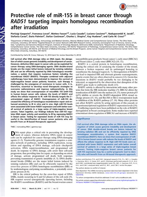 Pdf Protective Role Of Mir 155 In Breast Cancer Through Rad51