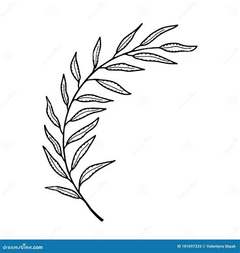 Curved Branch Stock Illustrations 1 685 Curved Branch Stock Illustrations Vectors And Clipart