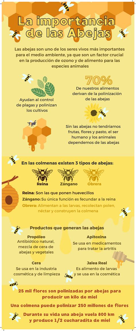 Infografia Sobre La Importancia De Las Abejas Moderna La