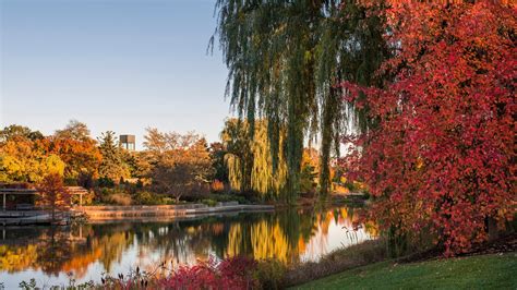 Fall Colors Are on Full Display at Chicago Botanic Garden | Chicago ...