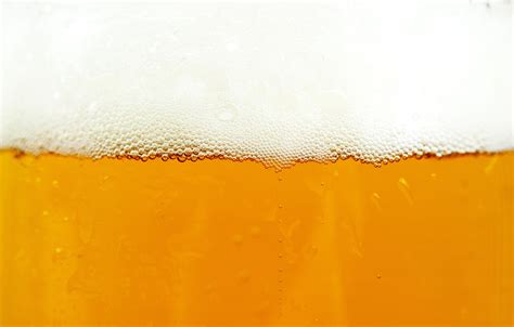 Wallpaper foam, beer, beer images for desktop, section минимализм ...