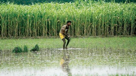 Farmers Day India Will be Celebrated on December 23 - 2016