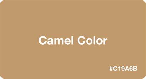 Camel Color (#c19a6b): Color Codes & Palettes