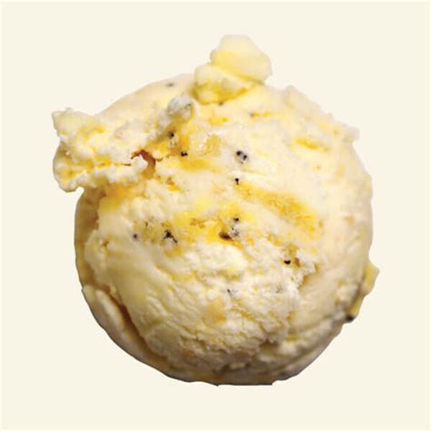 Lemon Poppy Seed Muffin Van Leeuwen Ice Cream