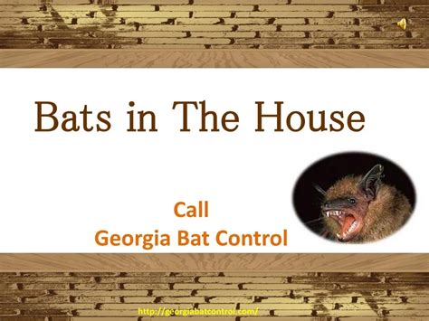 Ppt How To Catch A Bat In The House Powerpoint Presentation Free