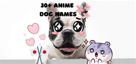 Anime Dog Names – 30+ Name Ideas for Your Canine - PetsTime