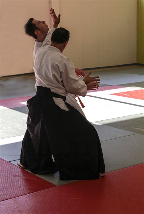 Aikido Martial Arts Techniques