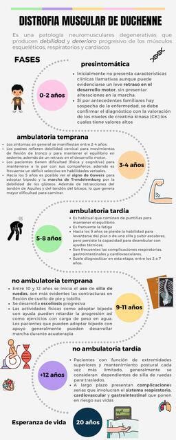 O Que É Distrofia Muscular De Duchenne - Distrofia Muscular de Duchenne | Meily Study | uDocz