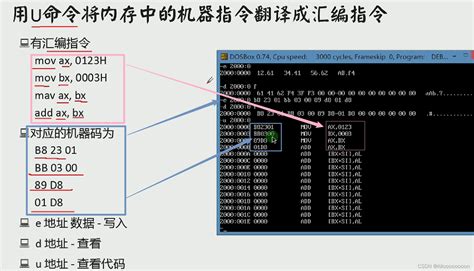 【汇编语言Ⅱ】 访问寄存器和内存汇编怎么看寄存器数据 Csdn博客