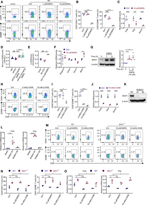 Sglt Inhibitor Promotes Ketogenesis To Improve Mash By Suppressing Cd