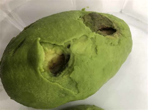 Avocado Enigma: Secrets Revealed! - Truth or Fiction