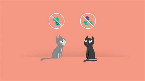 Trap, Neuter, Return - Cats Protection on Behance