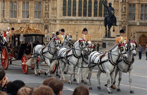 Meet King Charless Coronation Horses Eight Windsor Greys Will Pull