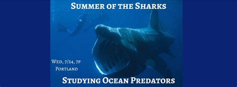 Summer Of The Sharks Studying Ocean Predators The Alberta Rose